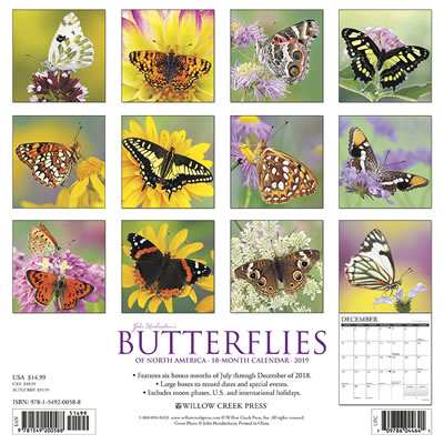 2019 Butterflies Calendar